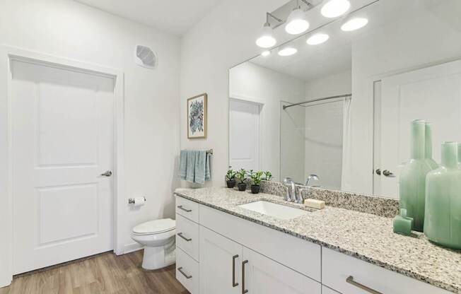 Well-Appointed Bathrooms