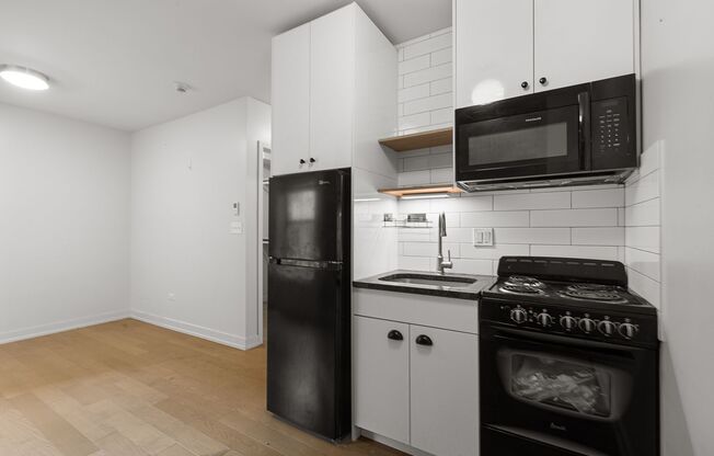 Studio, 1 bath, 245 sqft, $1,500, Unit 310