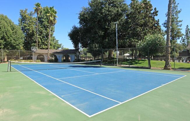 We  have a tennis court here at Crystal Tree