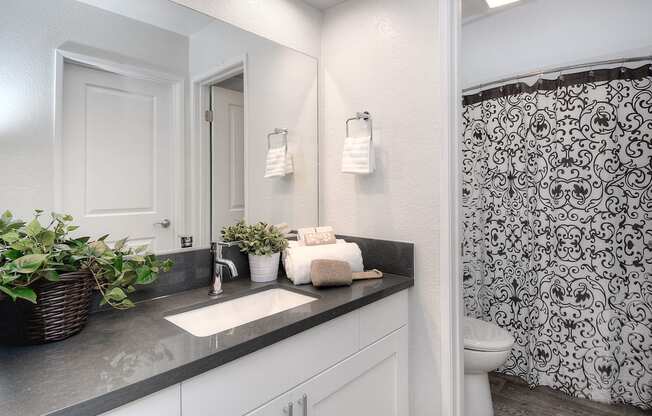 Bathroom Sink in LA Serena Apartments in San Diego, 92128