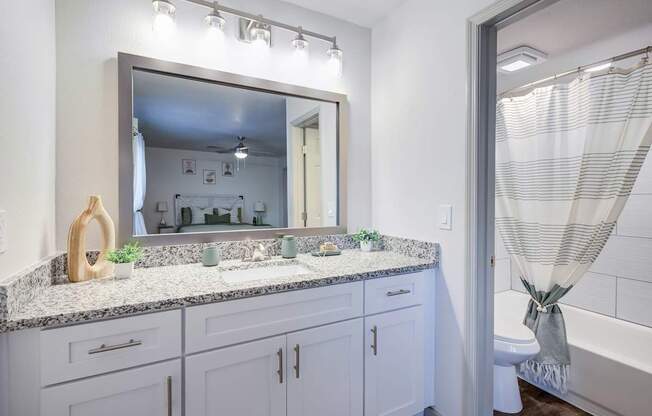 A bathroom with a large mirror and a sink with a granite countertop.