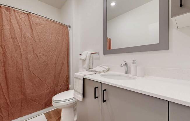A bathroom with a toilet, sink, and shower curtain.