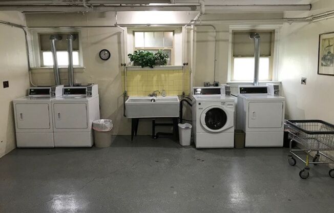 Studio, 1 bath, 510 sqft, $925, Unit 302