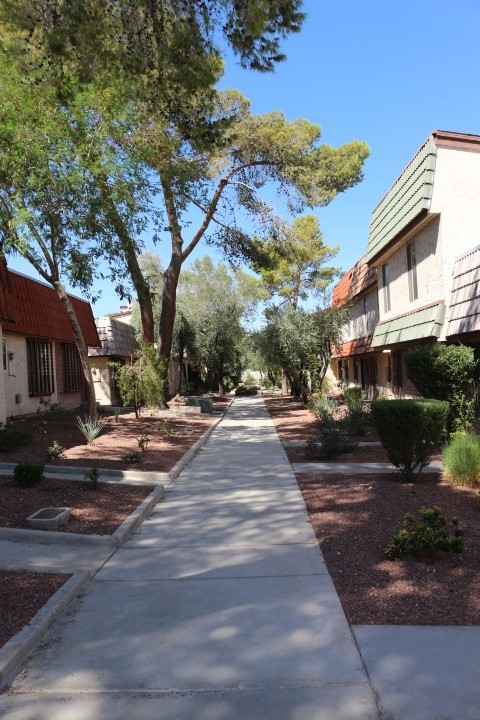 NO SHOWINGS UNTIL 12/15/25
