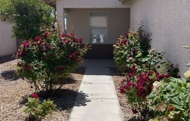 713 Alecandro Daniel - Cozy Single Story in North Las Vegas! COMING SOON!