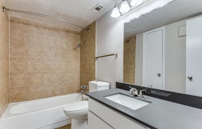 a bathroom with a sink and a toilet and a bath tub