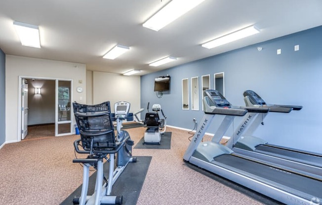 the gym is equipped with cardio equipment and weights