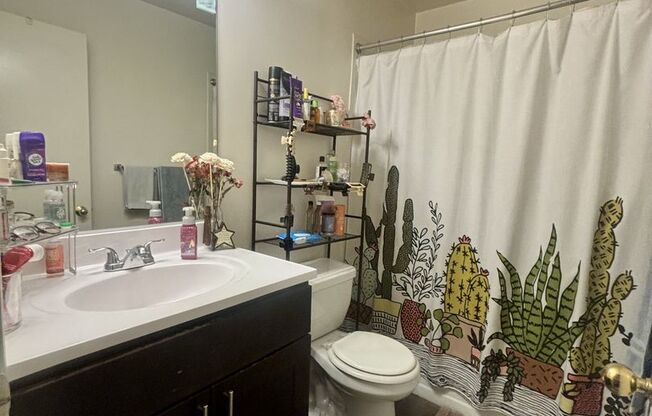 1 bed, 1 bath, 600 sqft, $1,649, Unit 306