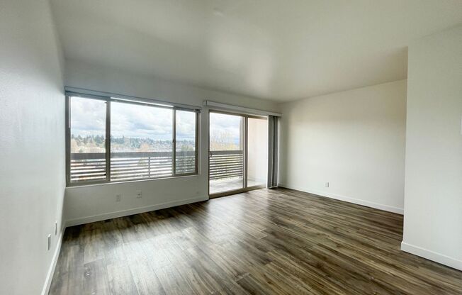 Studio, 1 bath, 370 sqft, $1,425, Unit 407