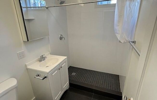 1 bed, 1 bath, $3,095, Unit 23