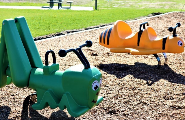 Lots of different toys to play with at the playground