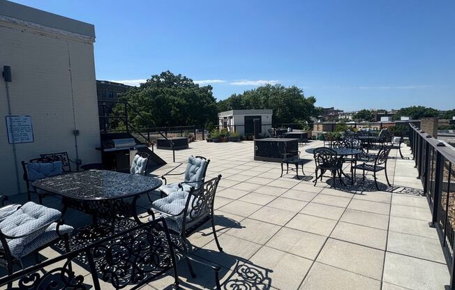 Spacious Studio Apartment W/Roof Top, Gym, Laundry, Front Desk, & Much More!