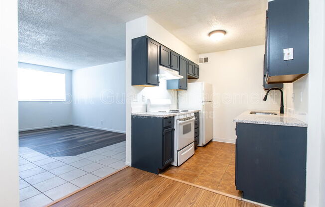 1 bed, 1 bath, 584 sqft, $675, Unit 101