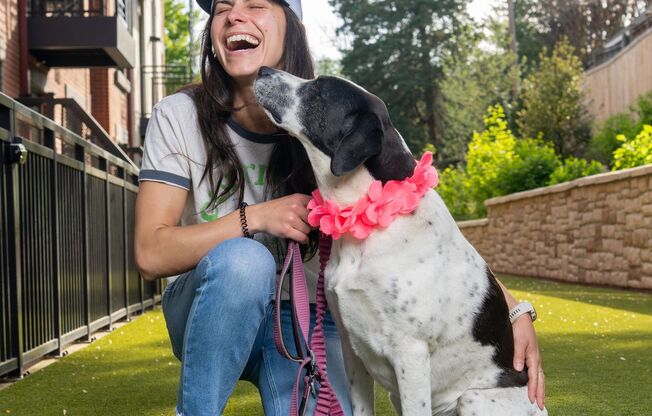 1 bed, 1 bath, $2,395, Unit 211