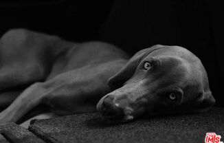 Partner-provided photo for $3842 unit