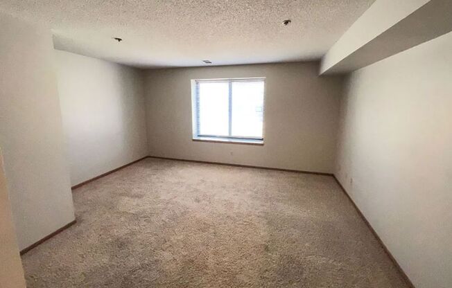 1 bed, 1 bath, 650 sqft, $1,125, Unit 109