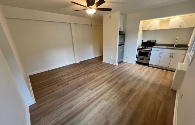 Studio, 1 bath, 374 sqft, $1,150, Unit 302