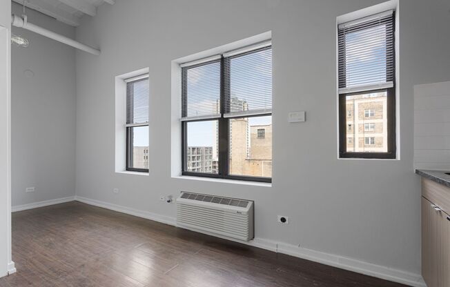 Studio, 1 bath, 172 sqft, $1,395, Unit 711