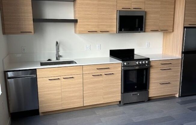 Studio, 1 bath, 432 sqft, $1,299, Unit 209