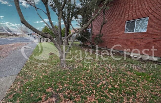 1816 Evergreen St.
