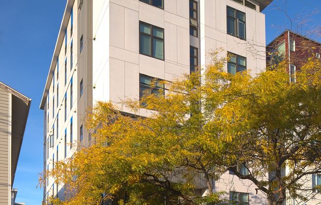 Introducing Giardino — Micro-Studio Living in the Heart of Ballard