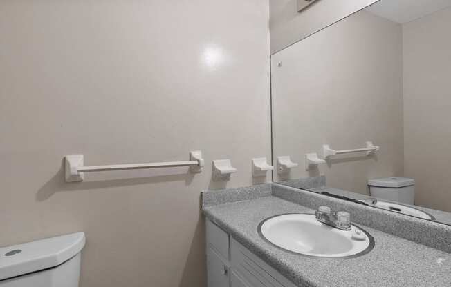 a bathroom with a sink and toilet and a mirror