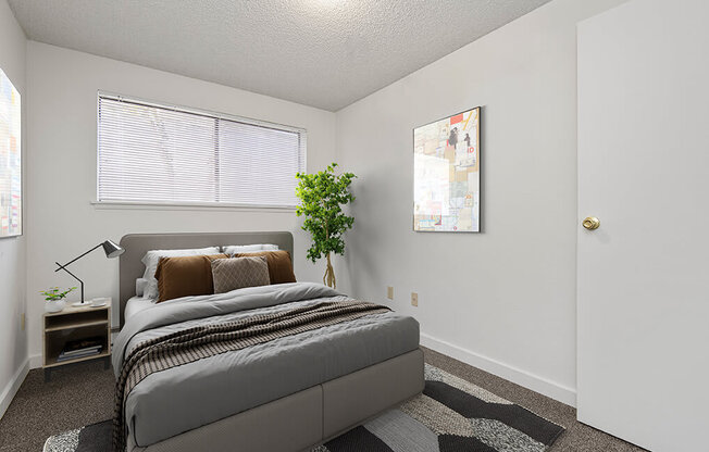 a bedroom with a bed and a window