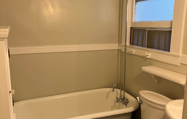 1 bed, 1 bath, $3,200, Unit Apt #2