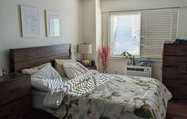 1 bed, 1 bath, 570 sqft, $3,000, Unit 1707