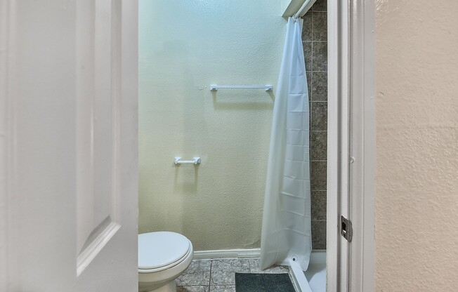 Studio, 1 bath, 231 sqft, $1,187.08, Unit 102