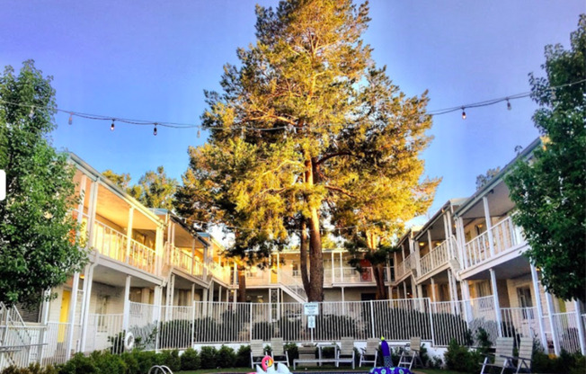 Catalina Apartments