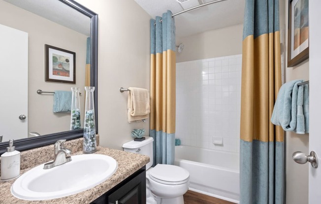 a bathroom with a shower toilet and sink and a mirror