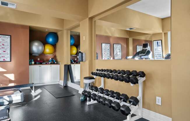a spacious fitness room with weights and a treadmill