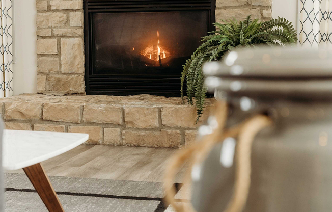 Enclave at Albany Park - 04x