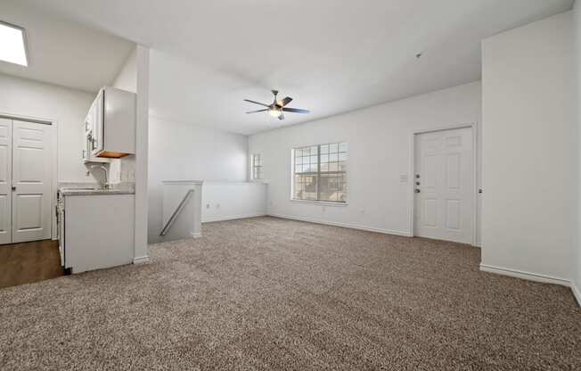 A spacious room with a ceiling fan and carpeted floor.