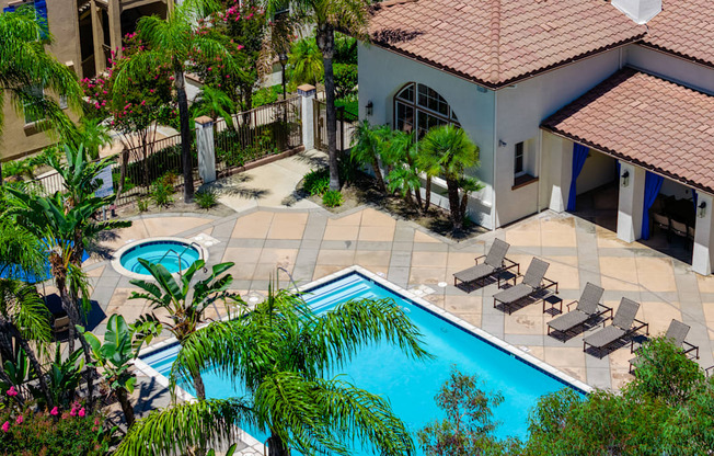A pool surrounded by palm trees and lounge chairs.