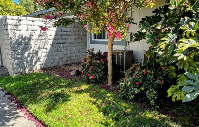 1 bed, 1 bath, 700 sqft, $1,425, Unit 50