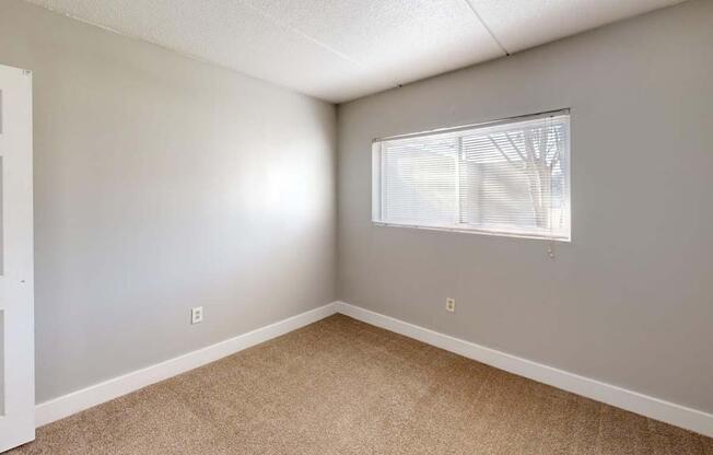 1 bed, 1 bath, 659 sqft, $899