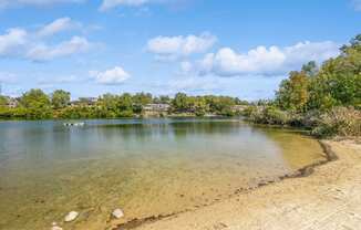 a lake with a sandy beach and trees