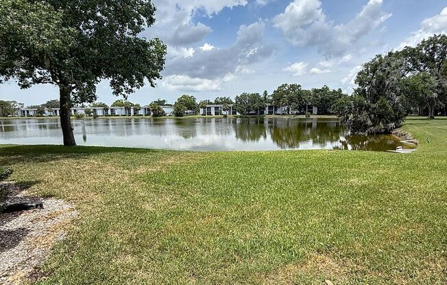 217 Woodlake Wynde - Private Waterfront Condo in Gated East Lake Woodlands