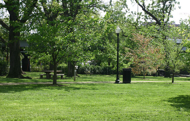 a park with trees and a lamp post