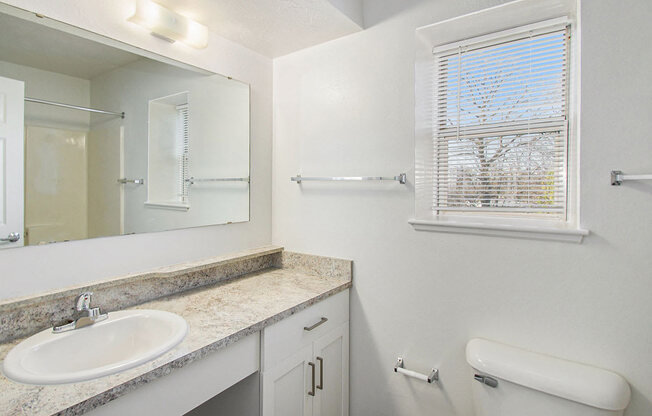 a bathroom with a sink, a mirror and a window at Canal 2 Apartments, Lansing, Michigan