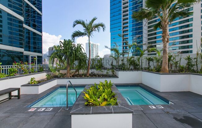 1 bed, 1 bath, $3,200