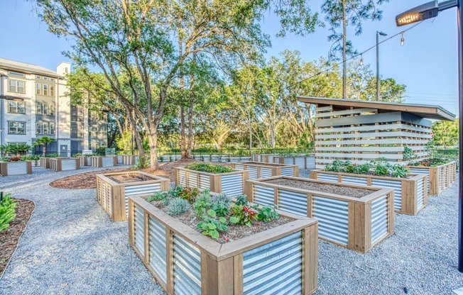a community garden with wooden planters and trees