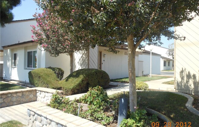 334 MDW CT