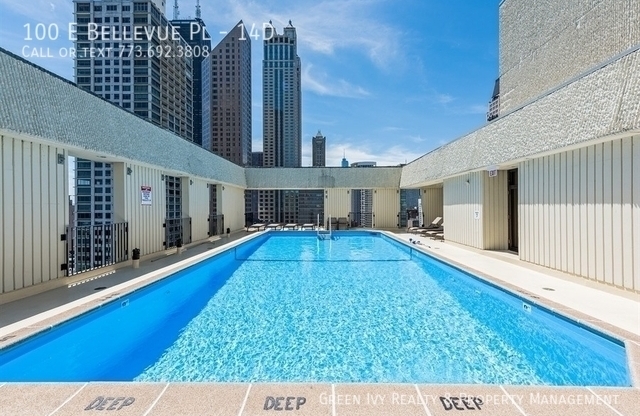 100 E Bellevue Pl, Chicago IL 12F
