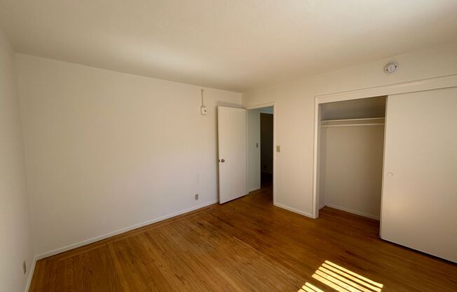 1 bed, 1 bath, $1,550, Unit 5