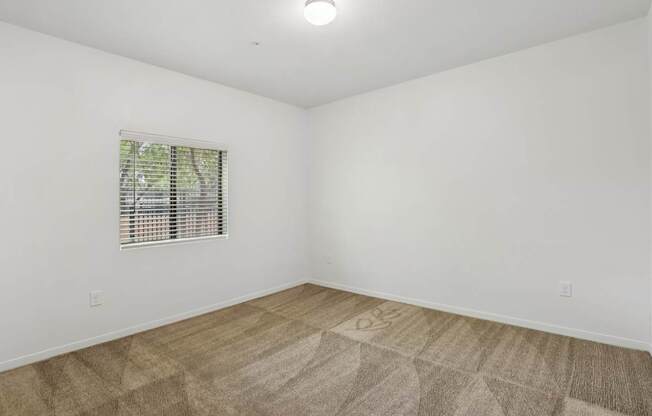 A room with a window and a carpet.