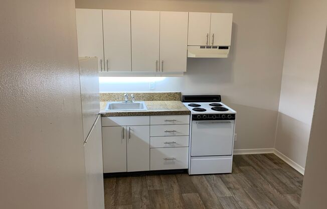 Studio, 1 bath, 322 sqft, $1,125, Unit 101