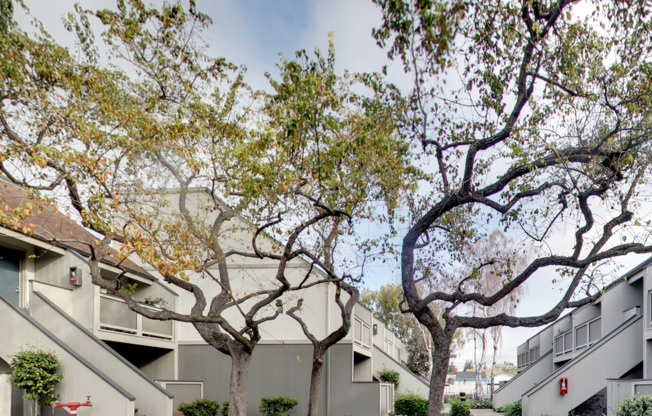 1 bed, 1 bath, 624 sqft, $2,136, Unit D232